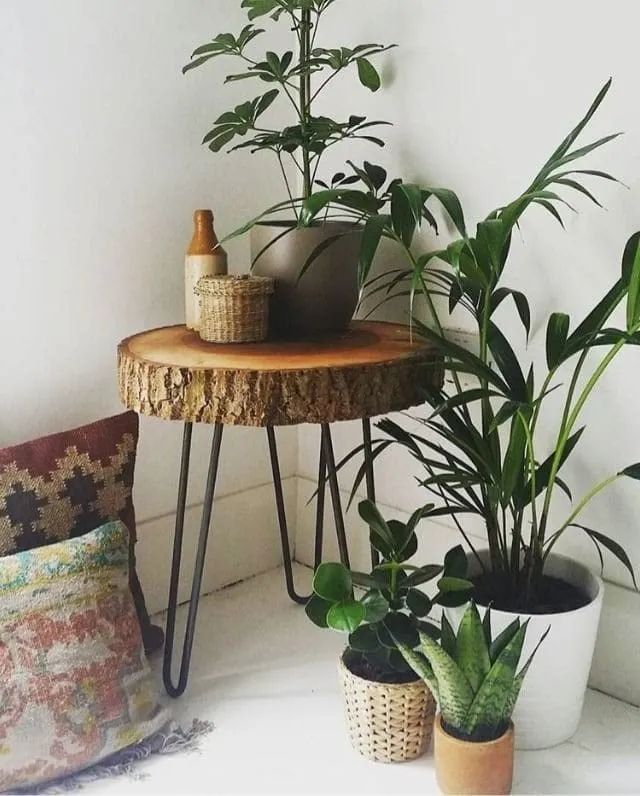 FANTASTIC STORE 9 Antique wooden End Table | Small Side Table | Corner Stool Plant Stand for Bedroom, Living Room Indoor and Outdoor tables (Black Metal Legs) Real Wood slice live Edge