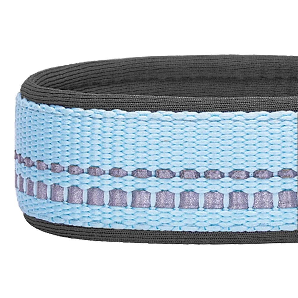 Reflective Hues of Spring | 3M Reflective Neoprene Padded Dog Collar