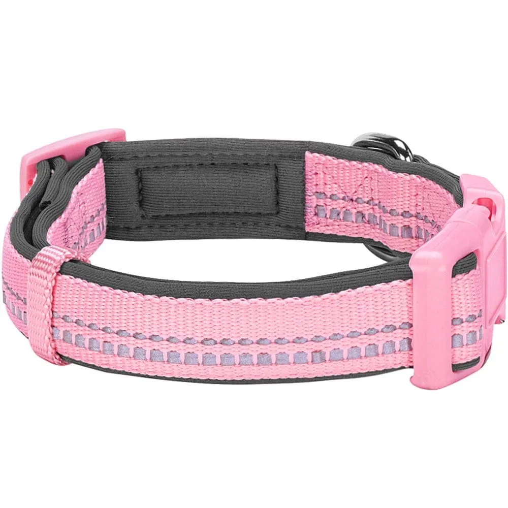 Reflective Hues of Spring | 3M Reflective Neoprene Padded Dog Collar
