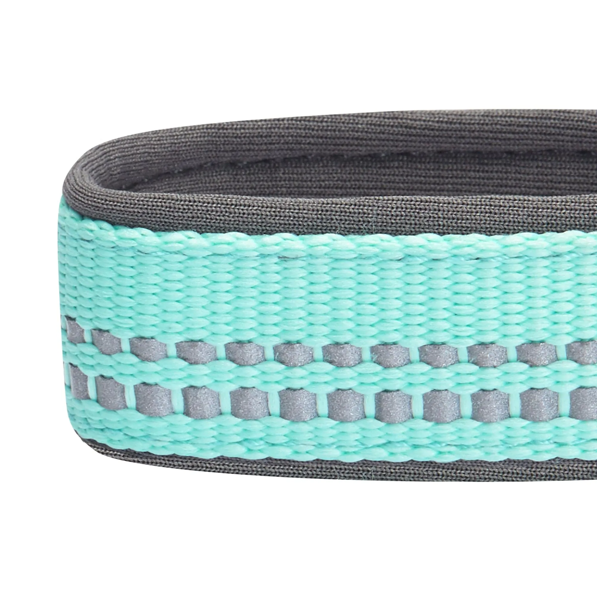 Reflective Hues of Spring | 3M Reflective Neoprene Padded Dog Collar