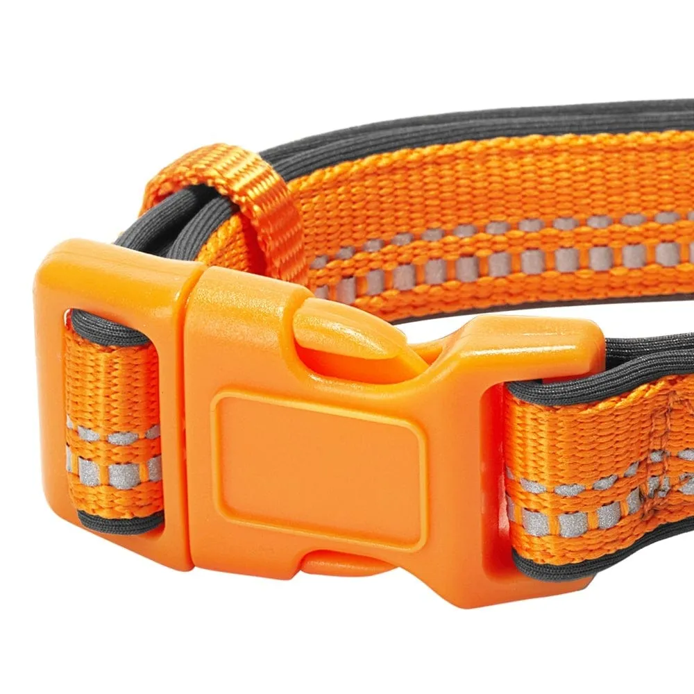 Reflective Hues of Spring | 3M Reflective Neoprene Padded Dog Collar