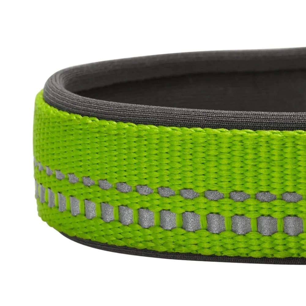 Reflective Hues of Spring | 3M Reflective Neoprene Padded Dog Collar
