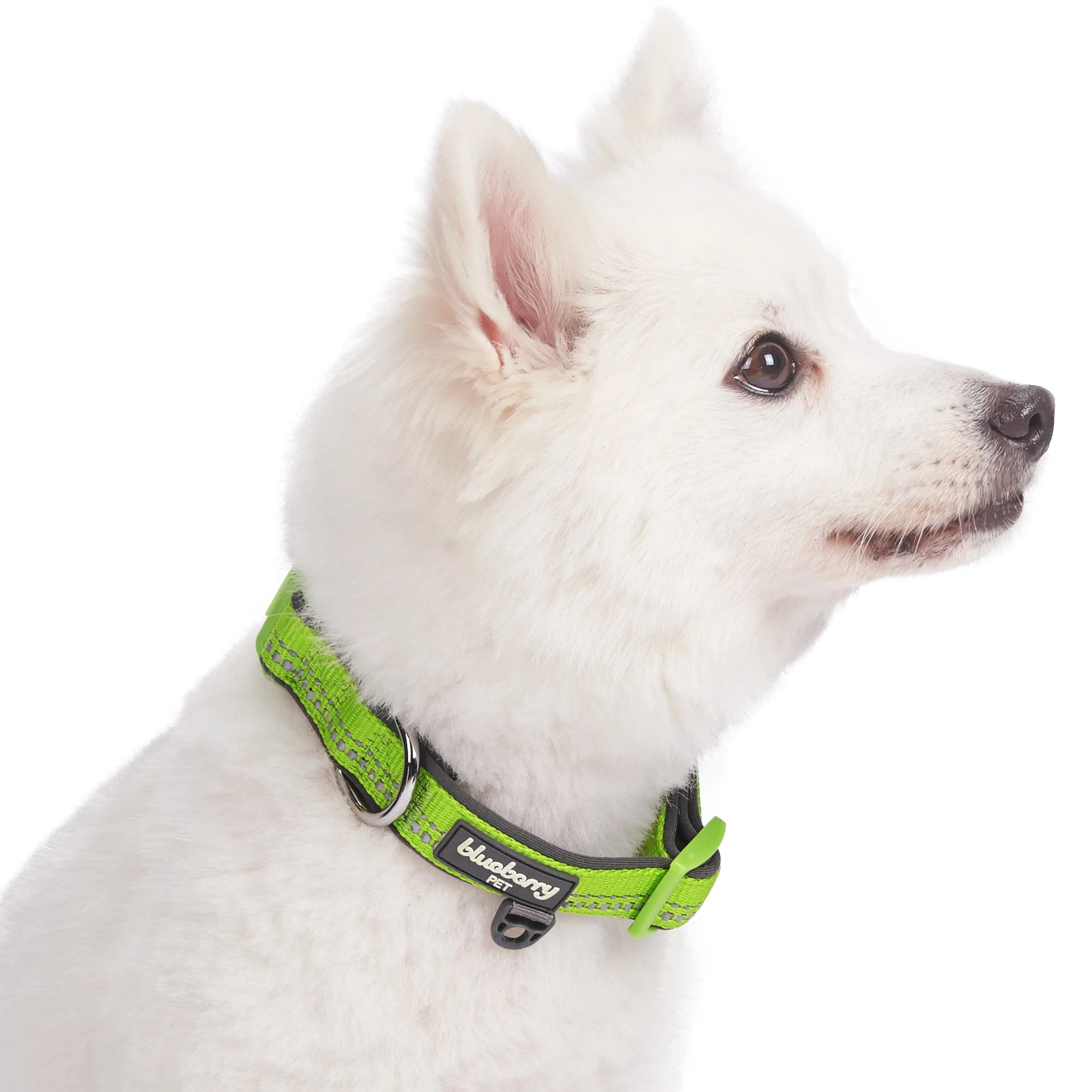 Reflective Hues of Spring | 3M Reflective Neoprene Padded Dog Collar