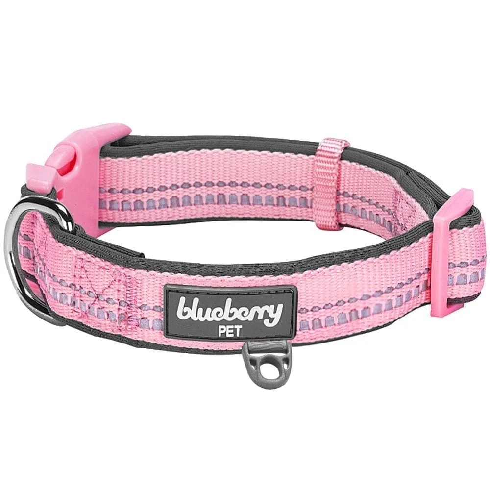 Reflective Hues of Spring | 3M Reflective Neoprene Padded Dog Collar