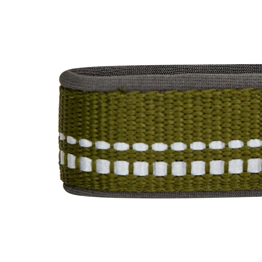 Reflective Hues of Spring | 3M Reflective Neoprene Padded Dog Collar