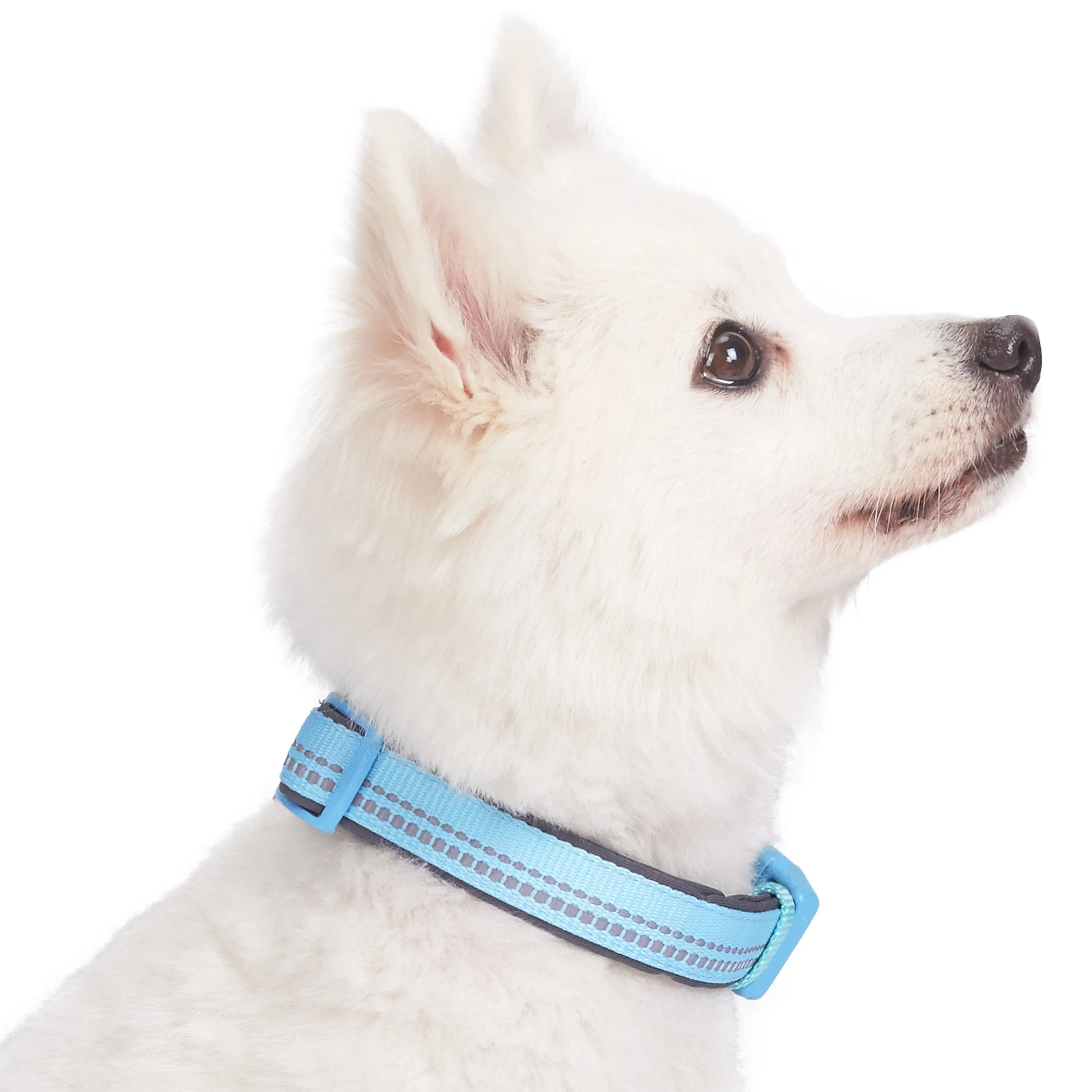 Reflective Hues of Spring | 3M Reflective Neoprene Padded Dog Collar