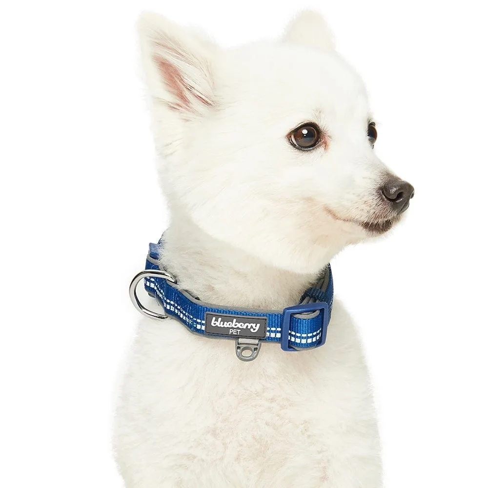 Reflective Hues of Spring | 3M Reflective Neoprene Padded Dog Collar