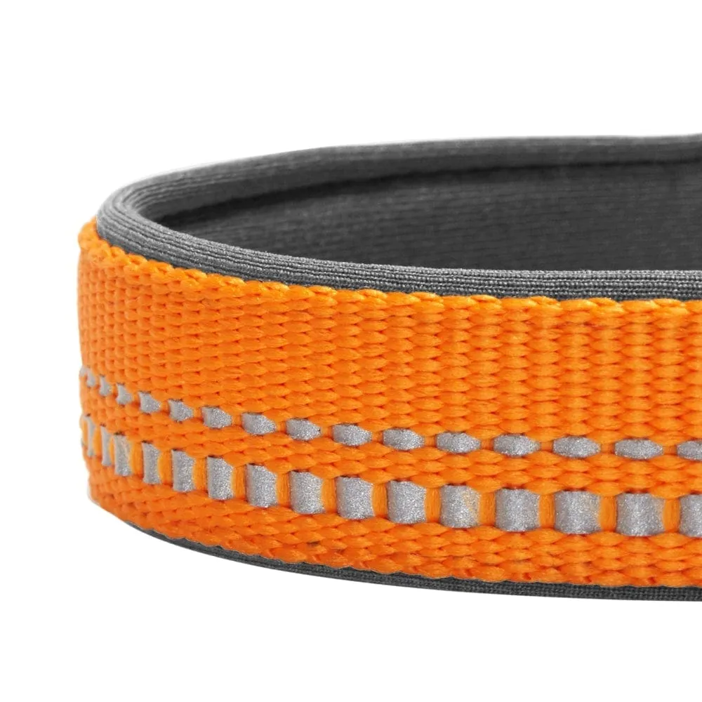 Reflective Hues of Spring | 3M Reflective Neoprene Padded Dog Collar