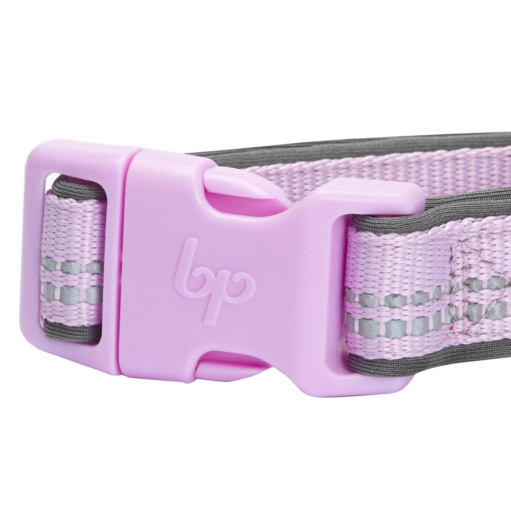 Reflective Hues of Spring | 3M Reflective Neoprene Padded Dog Collar