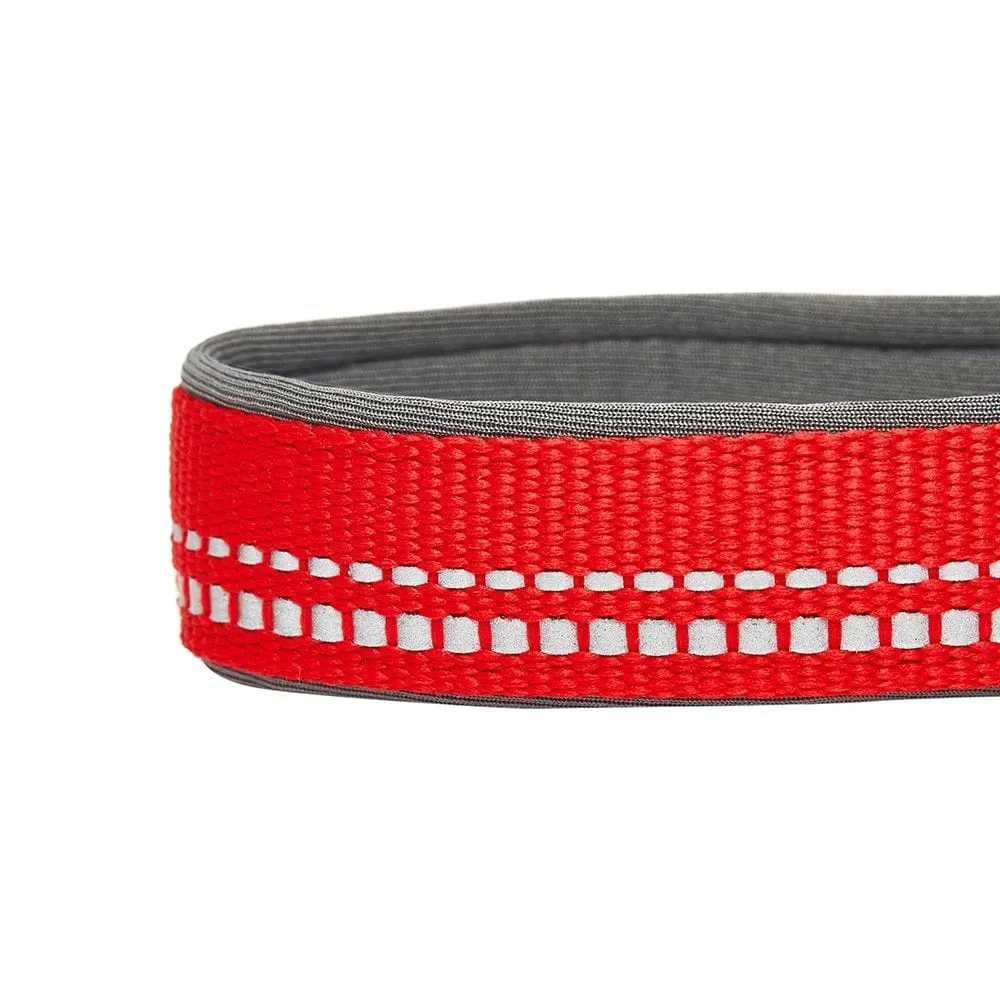 Reflective Hues of Spring | 3M Reflective Neoprene Padded Dog Collar