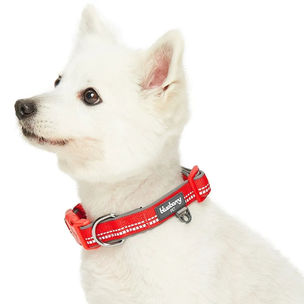 Reflective Hues of Spring | 3M Reflective Neoprene Padded Dog Collar
