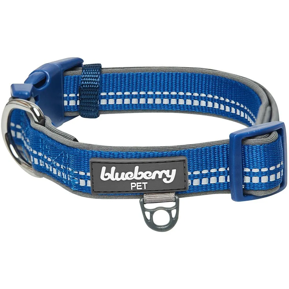 Reflective Hues of Spring | 3M Reflective Neoprene Padded Dog Collar