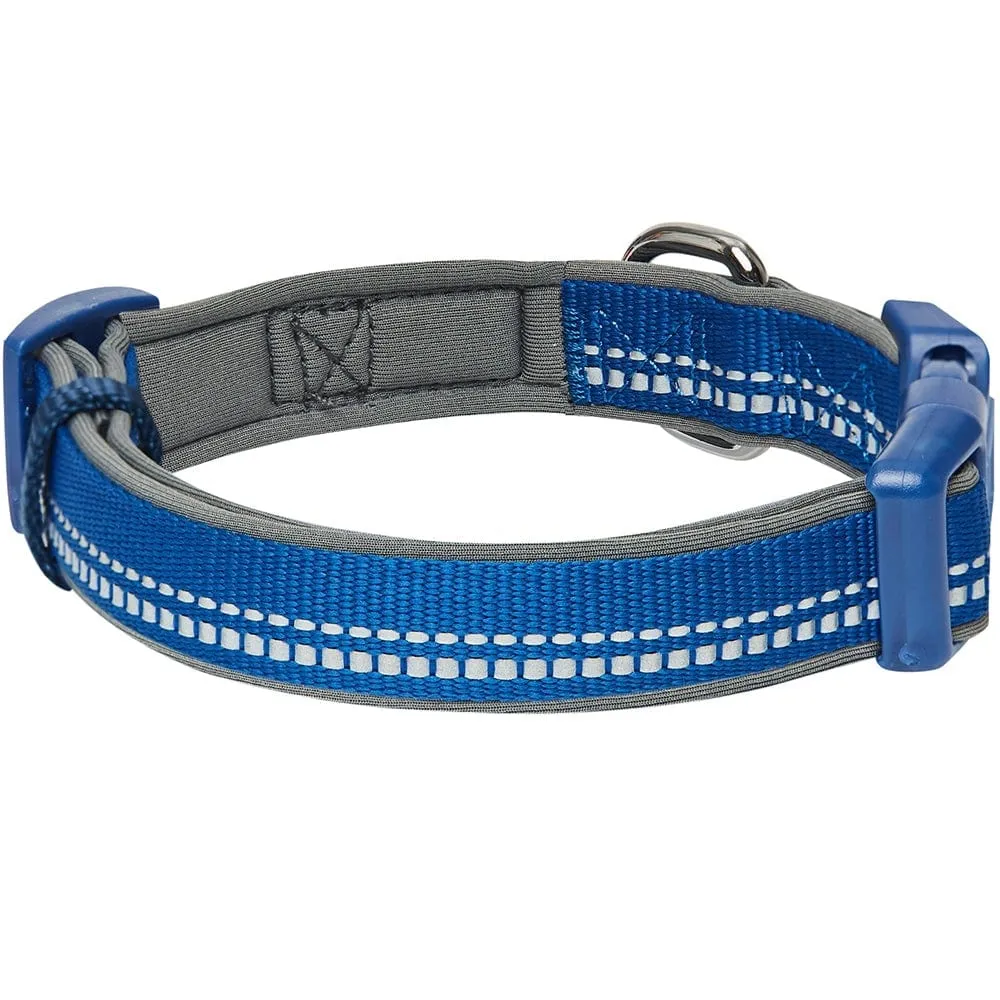 Reflective Hues of Spring | 3M Reflective Neoprene Padded Dog Collar