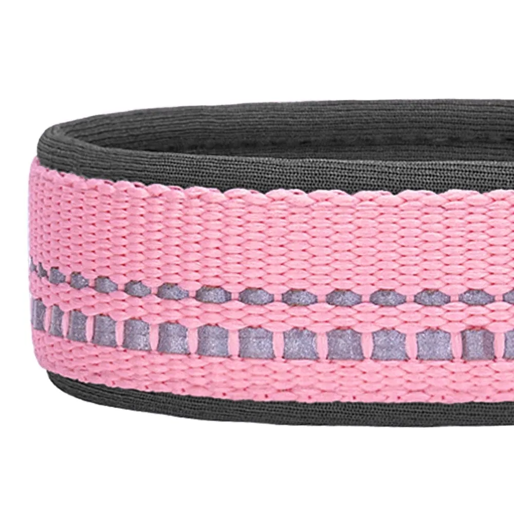Reflective Hues of Spring | 3M Reflective Neoprene Padded Dog Collar