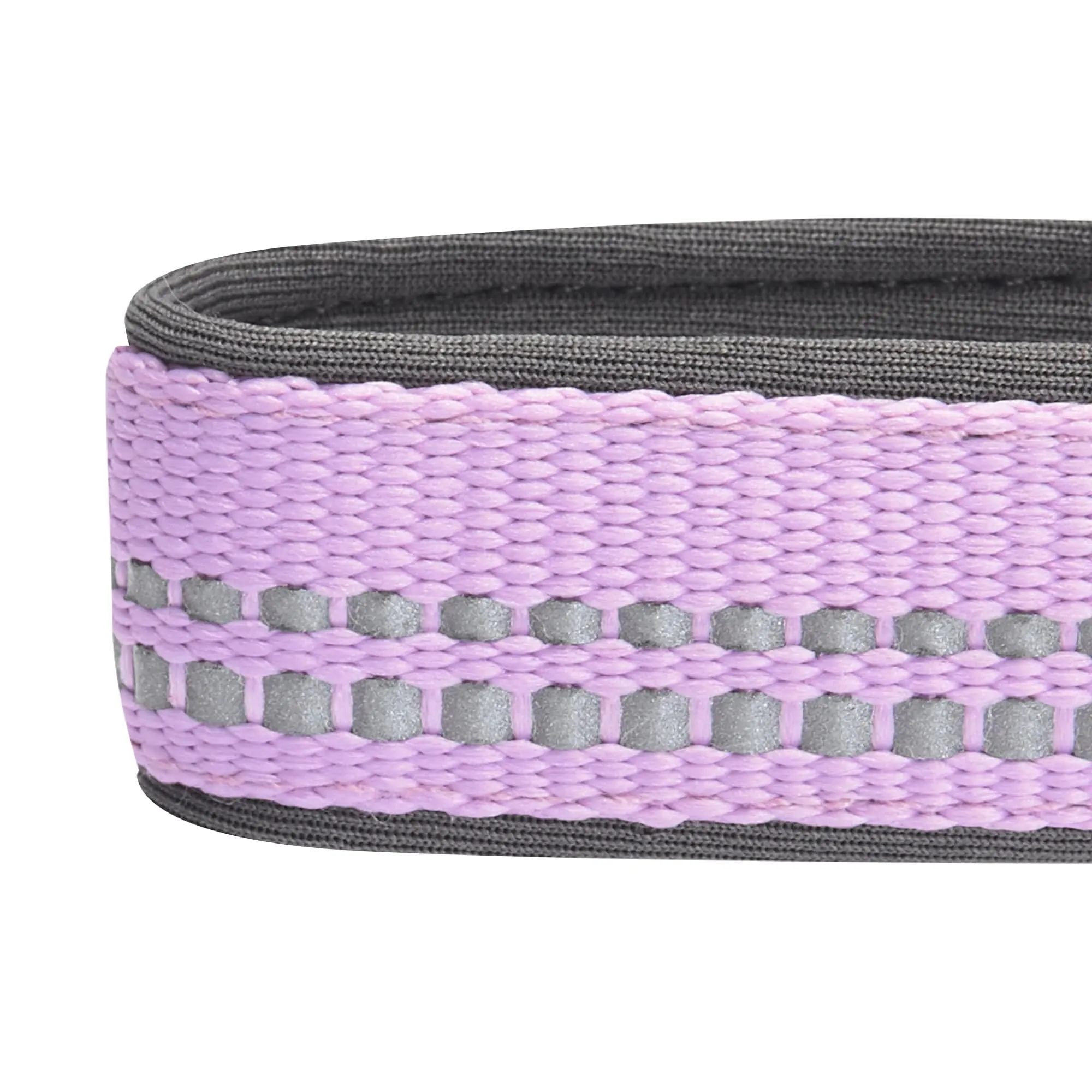 Reflective Hues of Spring | 3M Reflective Neoprene Padded Dog Collar