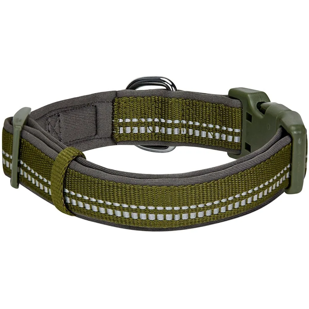 Reflective Hues of Spring | 3M Reflective Neoprene Padded Dog Collar