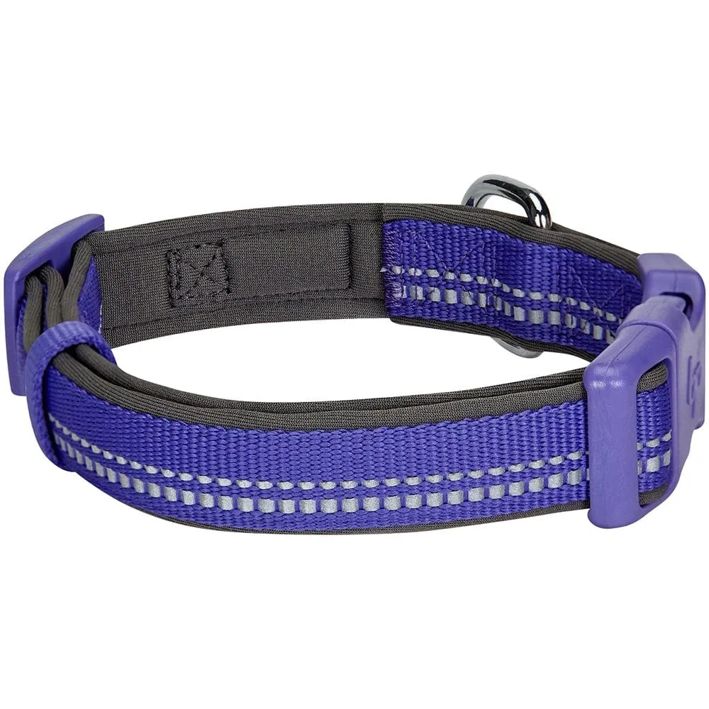 Reflective Hues of Spring | 3M Reflective Neoprene Padded Dog Collar