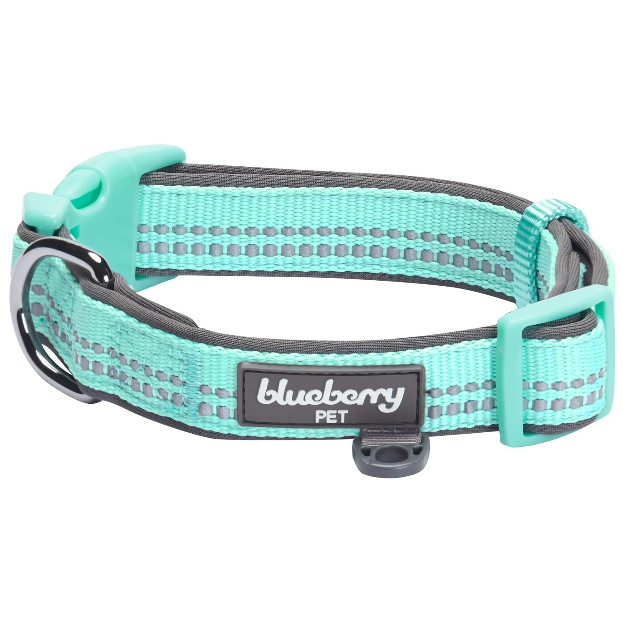 Reflective Hues of Spring | 3M Reflective Neoprene Padded Dog Collar