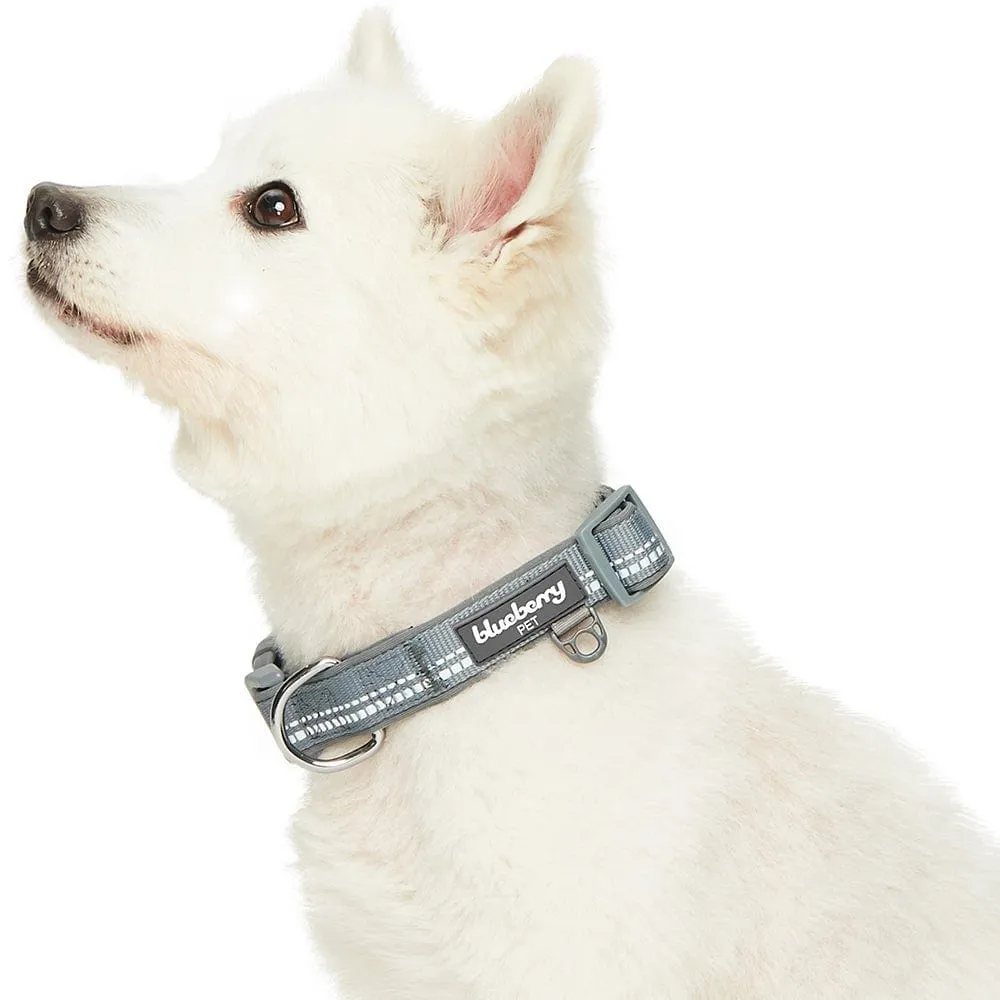 Reflective Hues of Spring | 3M Reflective Neoprene Padded Dog Collar