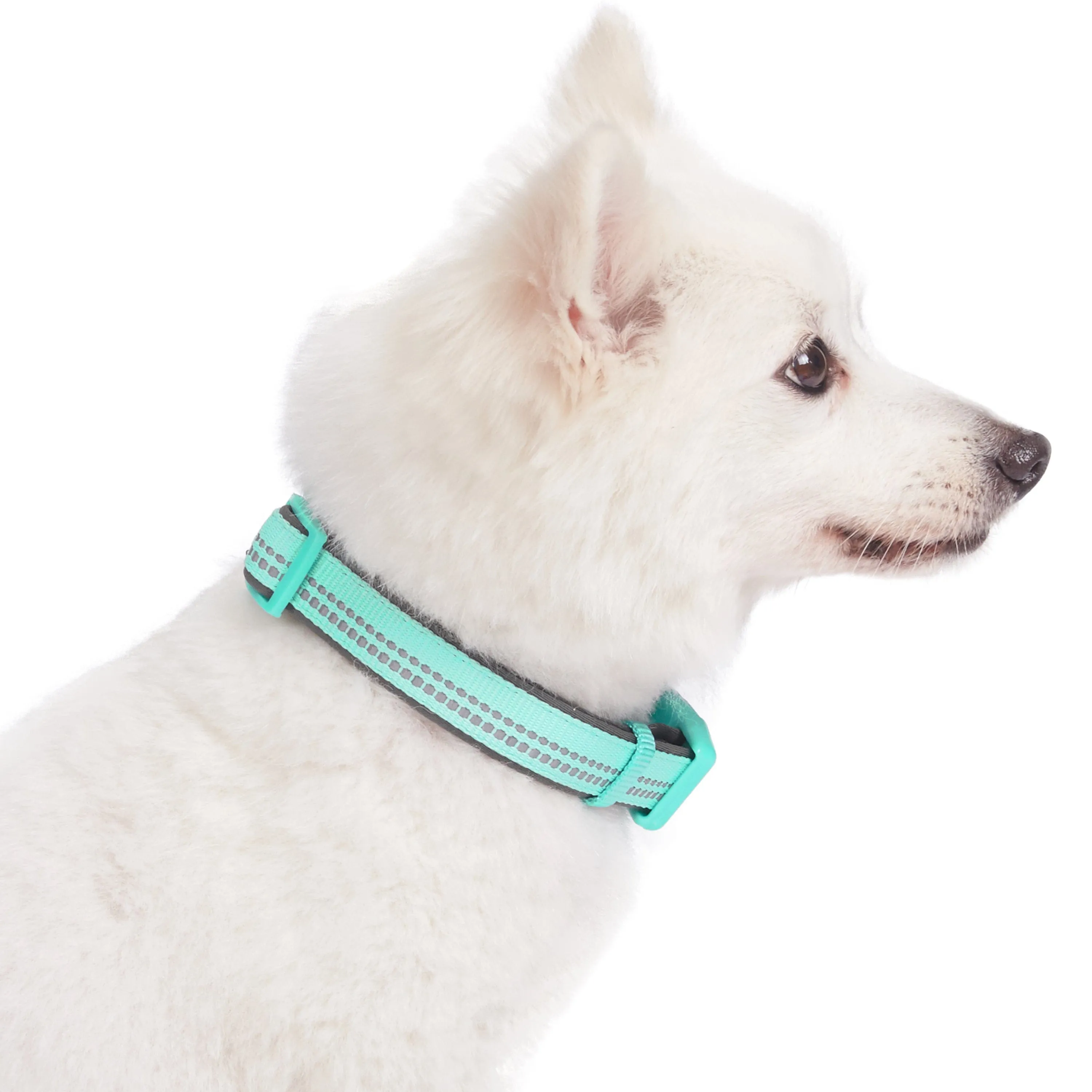 Reflective Hues of Spring | 3M Reflective Neoprene Padded Dog Collar