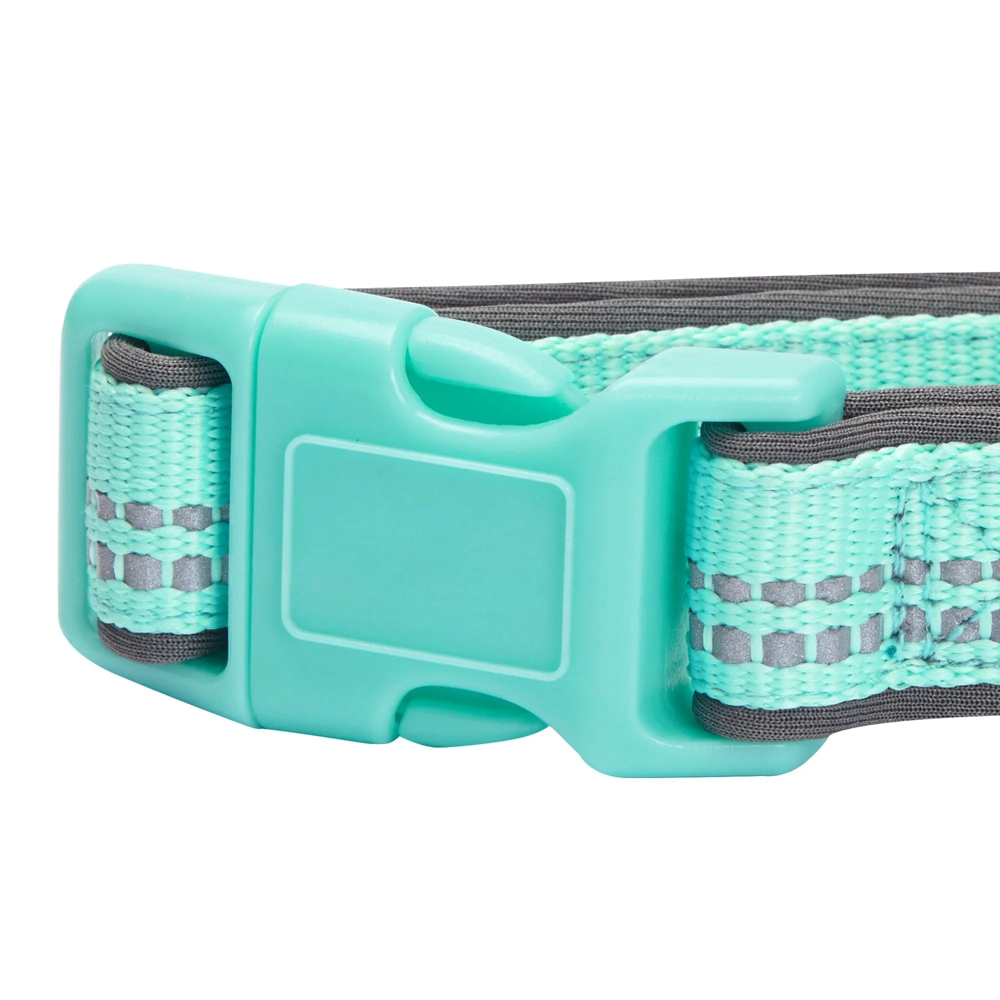 Reflective Hues of Spring | 3M Reflective Neoprene Padded Dog Collar