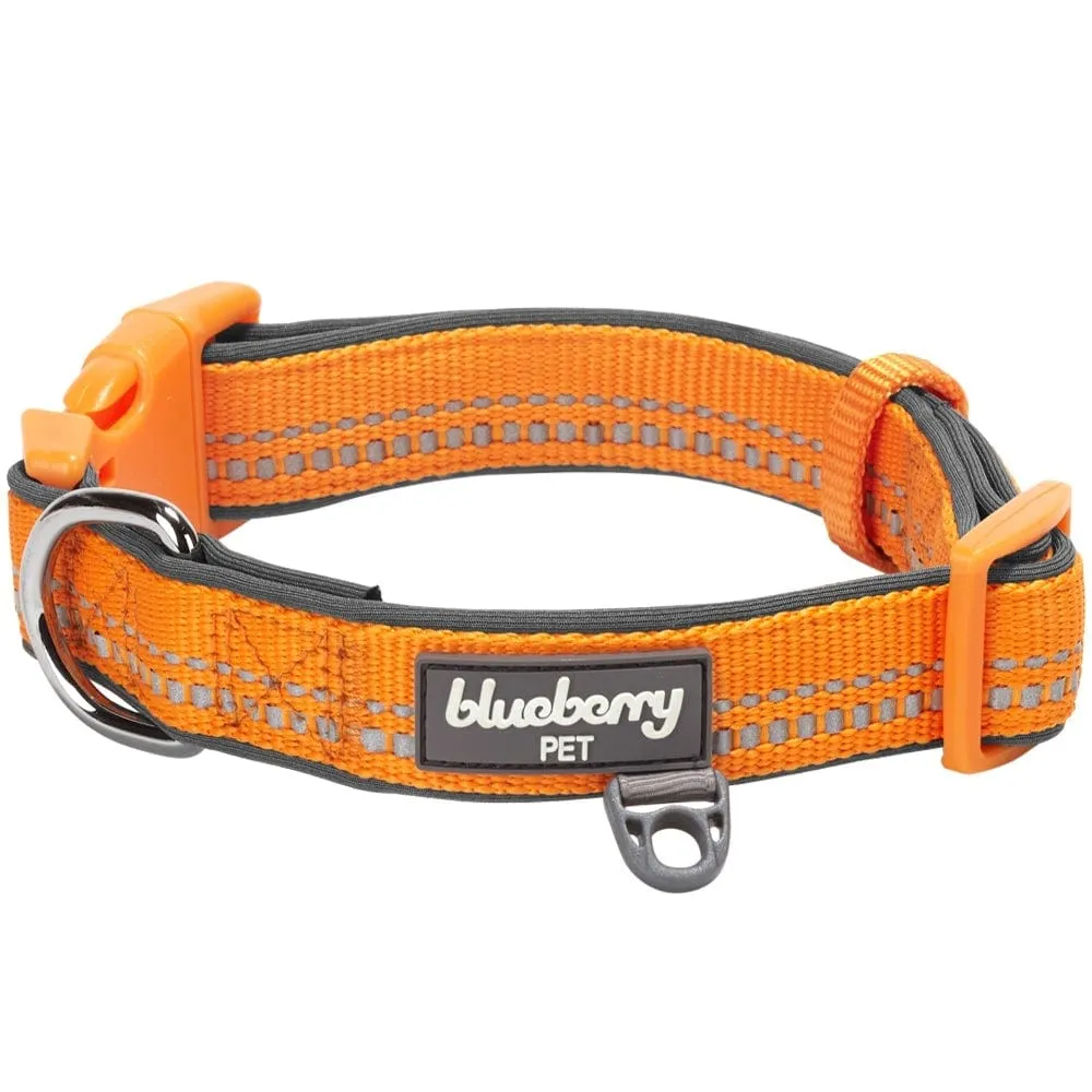 Reflective Hues of Spring | 3M Reflective Neoprene Padded Dog Collar