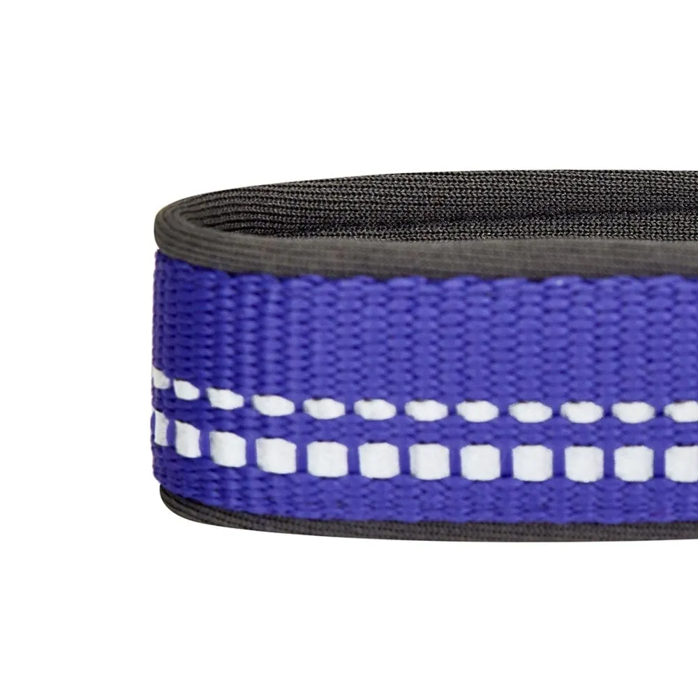 Reflective Hues of Spring | 3M Reflective Neoprene Padded Dog Collar