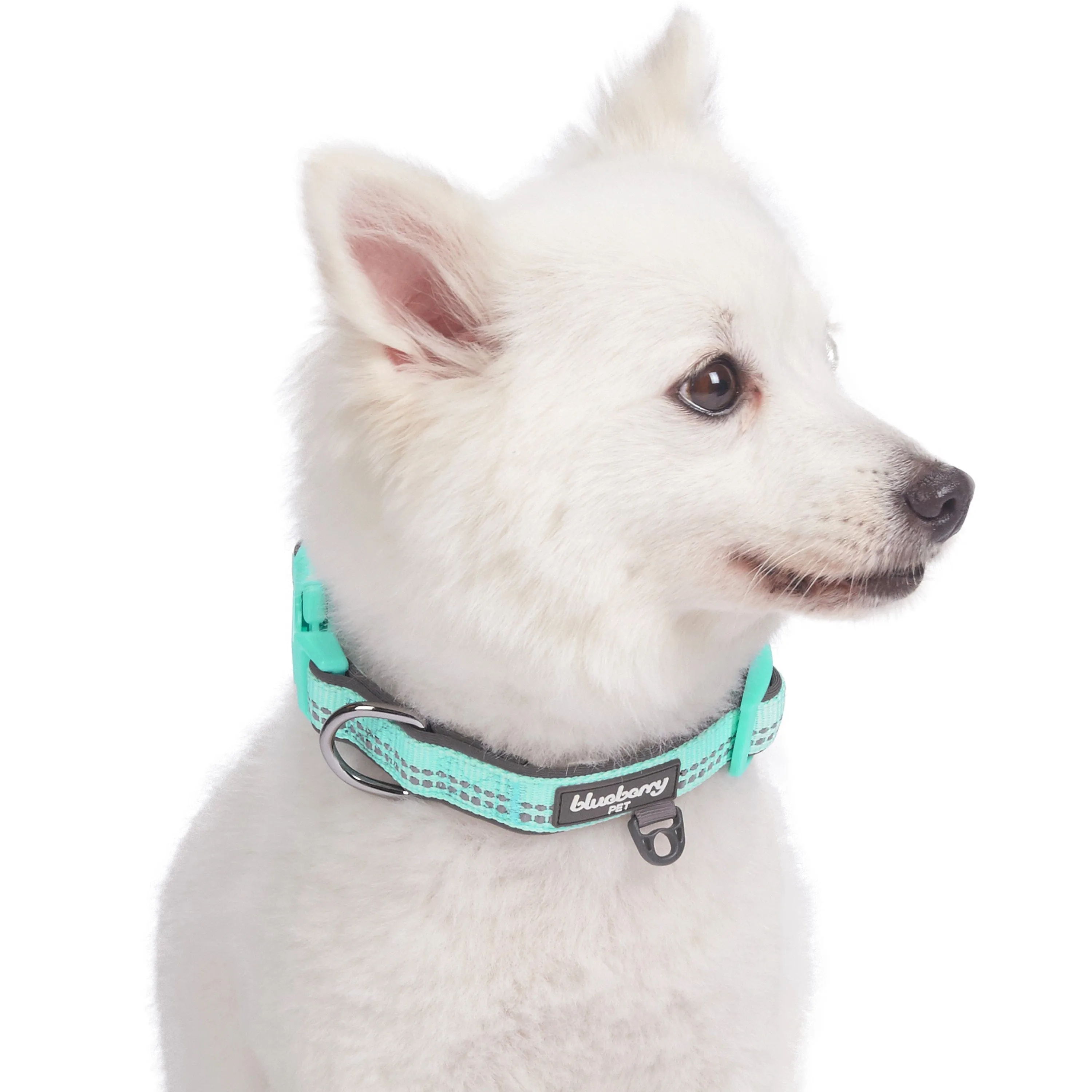 Reflective Hues of Spring | 3M Reflective Neoprene Padded Dog Collar