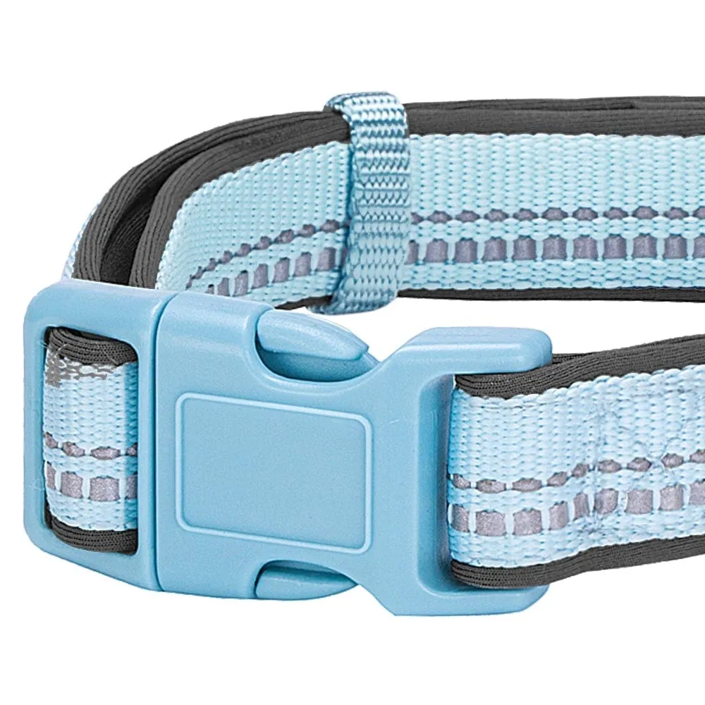 Reflective Hues of Spring | 3M Reflective Neoprene Padded Dog Collar