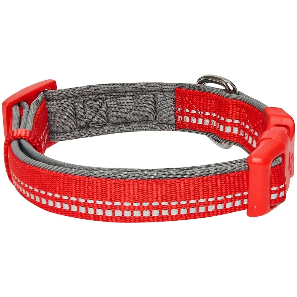 Reflective Hues of Spring | 3M Reflective Neoprene Padded Dog Collar