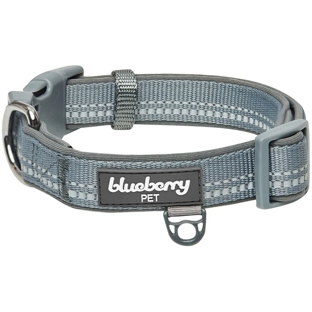 Reflective Hues of Spring | 3M Reflective Neoprene Padded Dog Collar