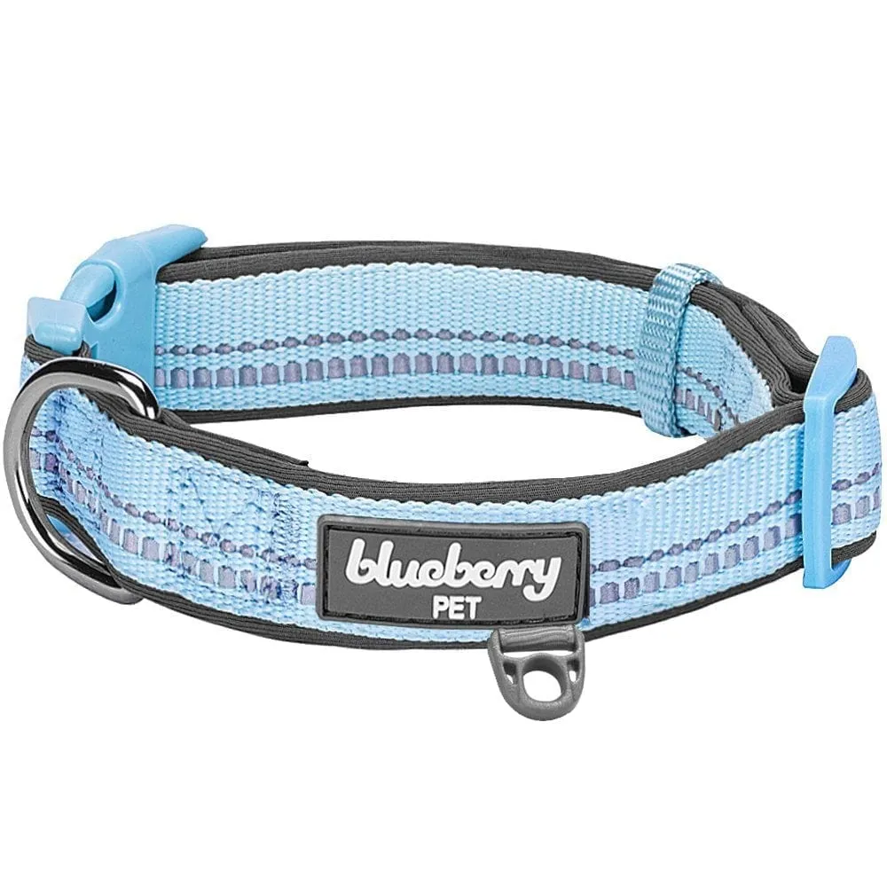 Reflective Hues of Spring | 3M Reflective Neoprene Padded Dog Collar