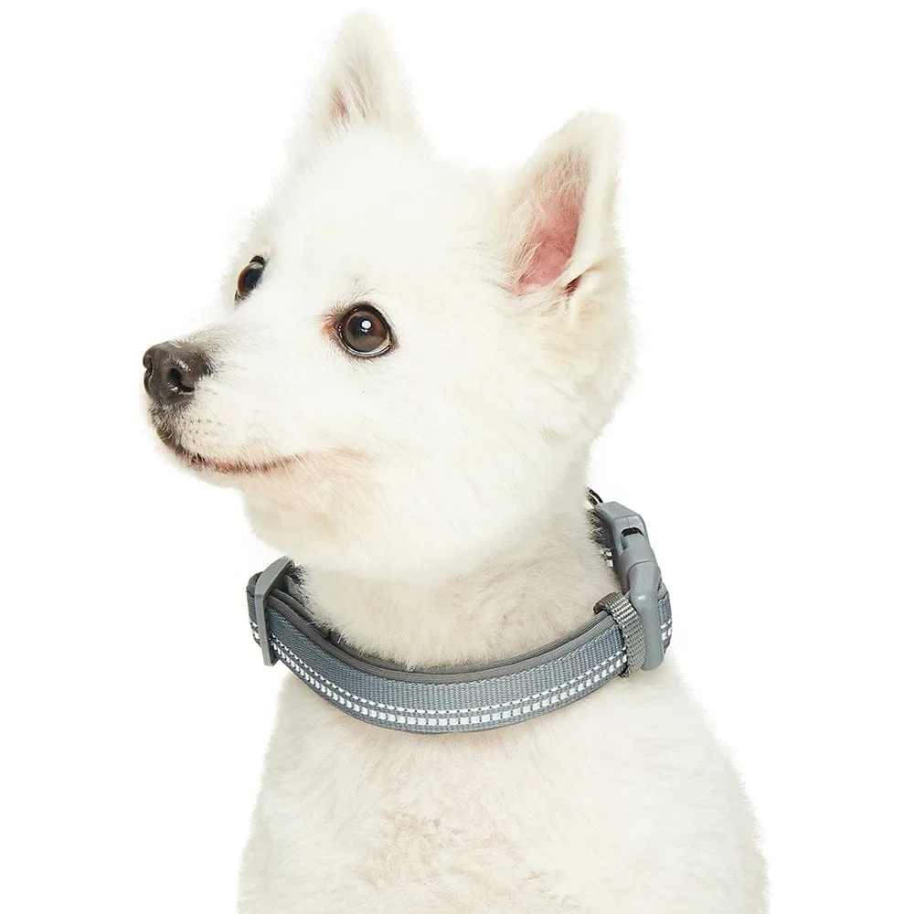 Reflective Hues of Spring | 3M Reflective Neoprene Padded Dog Collar