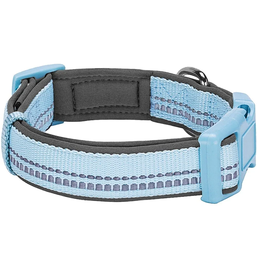 Reflective Hues of Spring | 3M Reflective Neoprene Padded Dog Collar