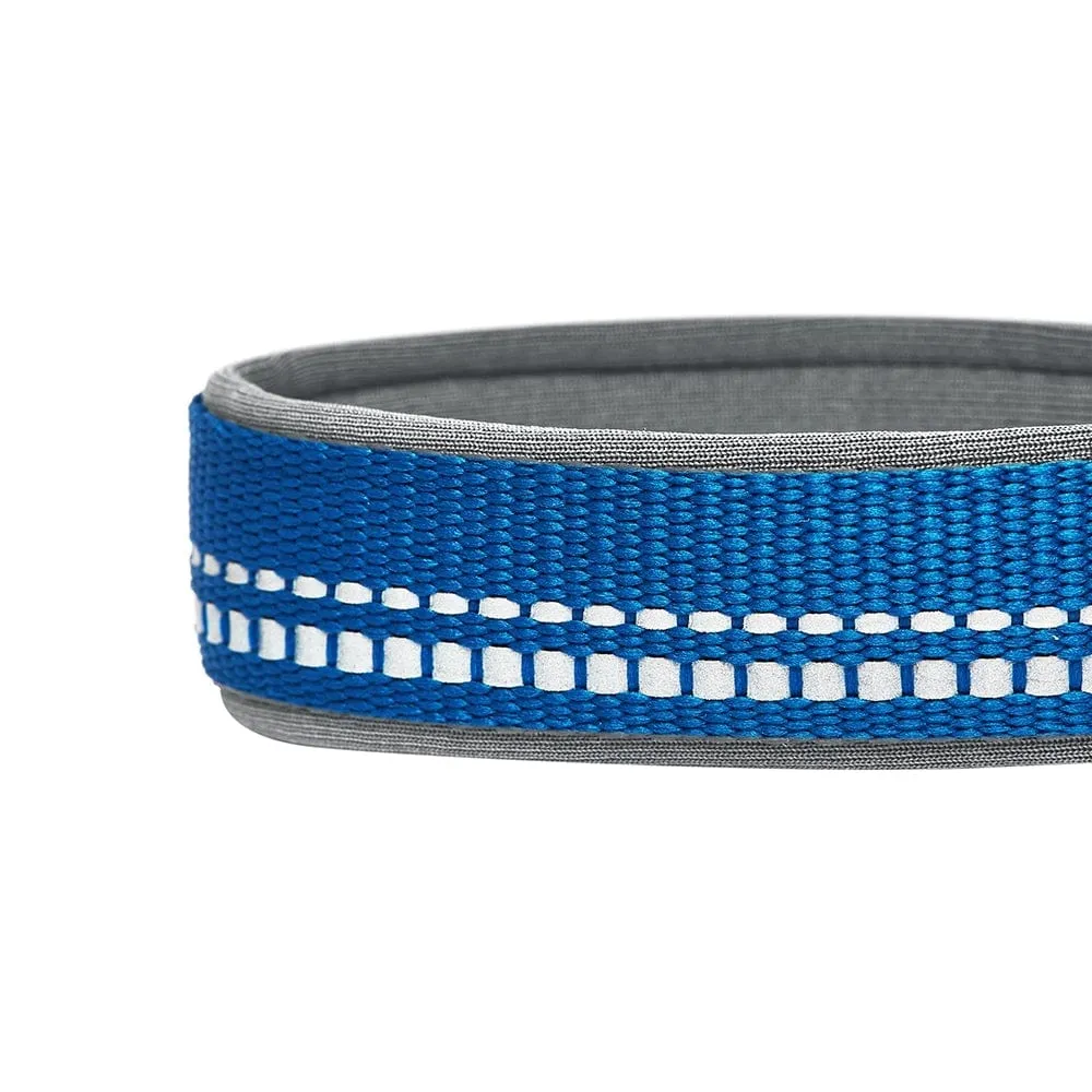 Reflective Hues of Spring | 3M Reflective Neoprene Padded Dog Collar