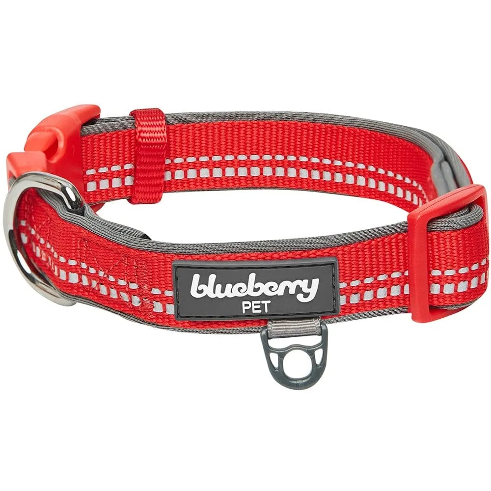 Reflective Hues of Spring | 3M Reflective Neoprene Padded Dog Collar