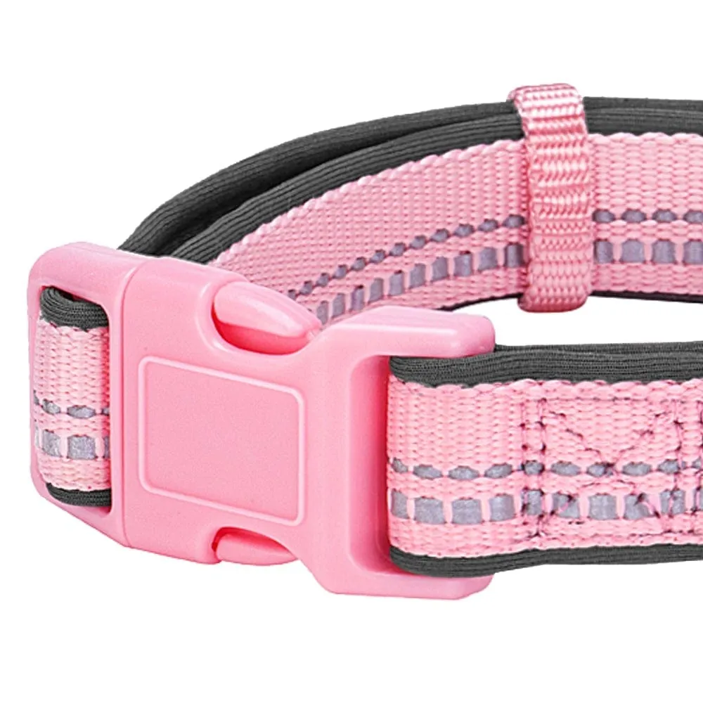 Reflective Hues of Spring | 3M Reflective Neoprene Padded Dog Collar