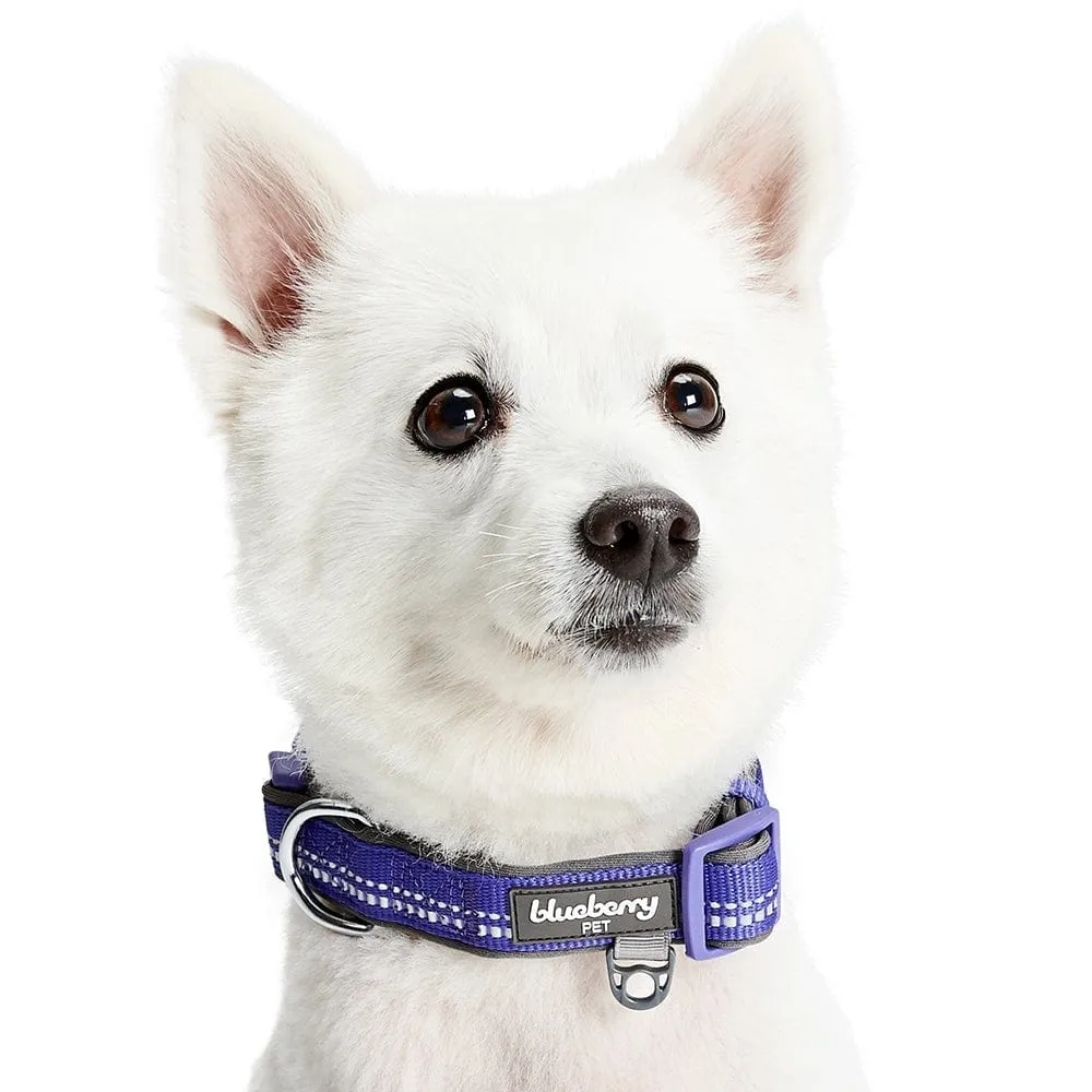 Reflective Hues of Spring | 3M Reflective Neoprene Padded Dog Collar