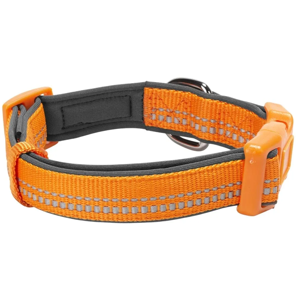 Reflective Hues of Spring | 3M Reflective Neoprene Padded Dog Collar