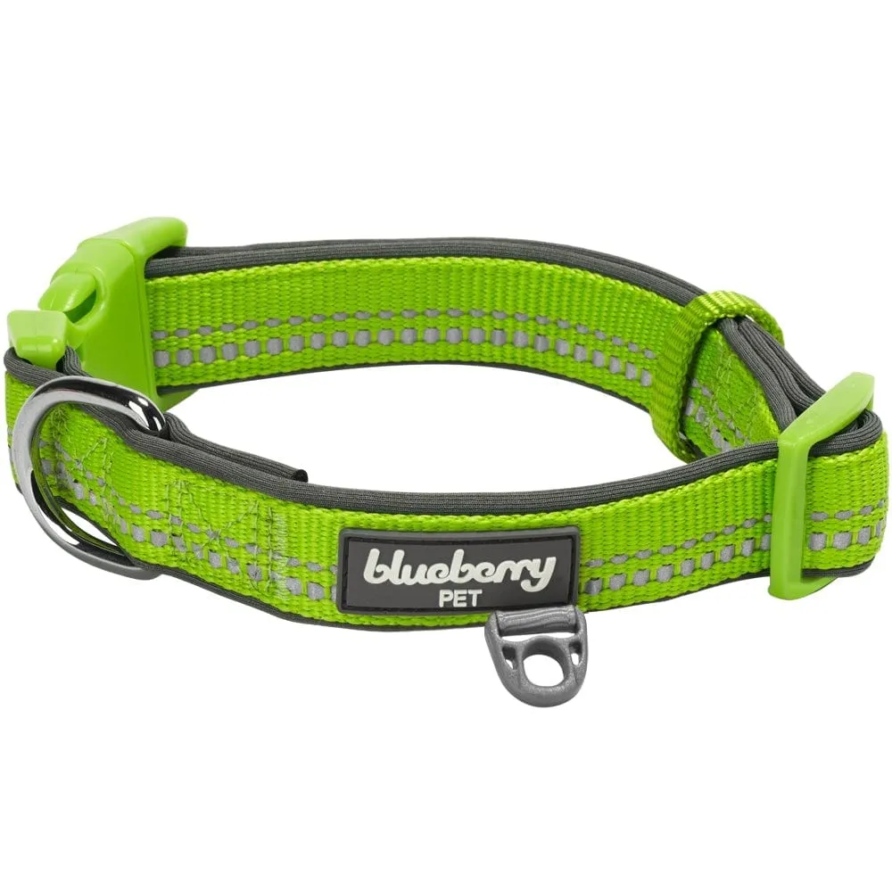Reflective Hues of Spring | 3M Reflective Neoprene Padded Dog Collar
