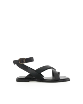 USHI - BLACK